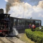 Delhi to Darjeeling Tour