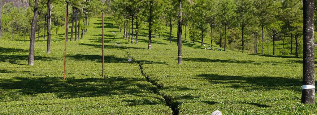 Golden Triangle with Kerala India