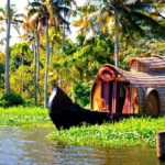 The Best of North & South India