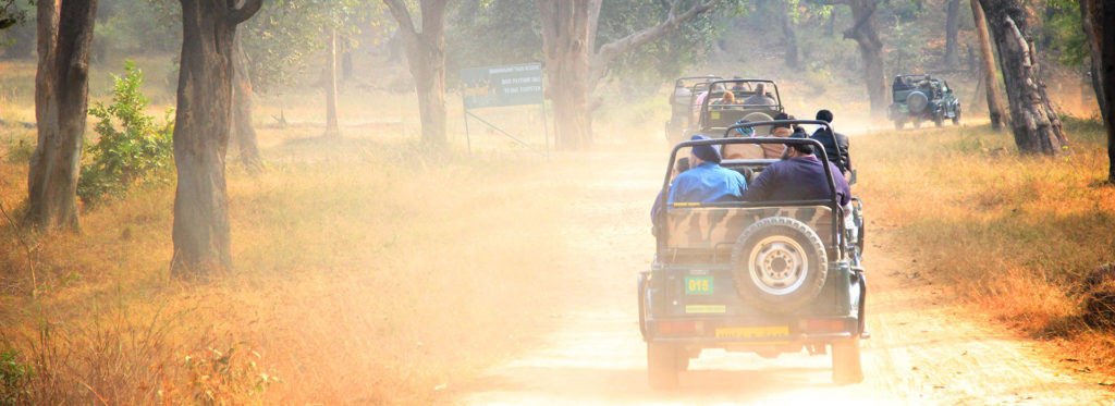 Tiger Safari Tour